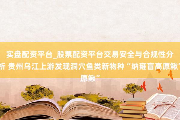 实盘配资平台_股票配资平台交易安全与合规性分析 贵州乌江上游发现洞穴鱼类新物种“纳雍盲高原鳅”